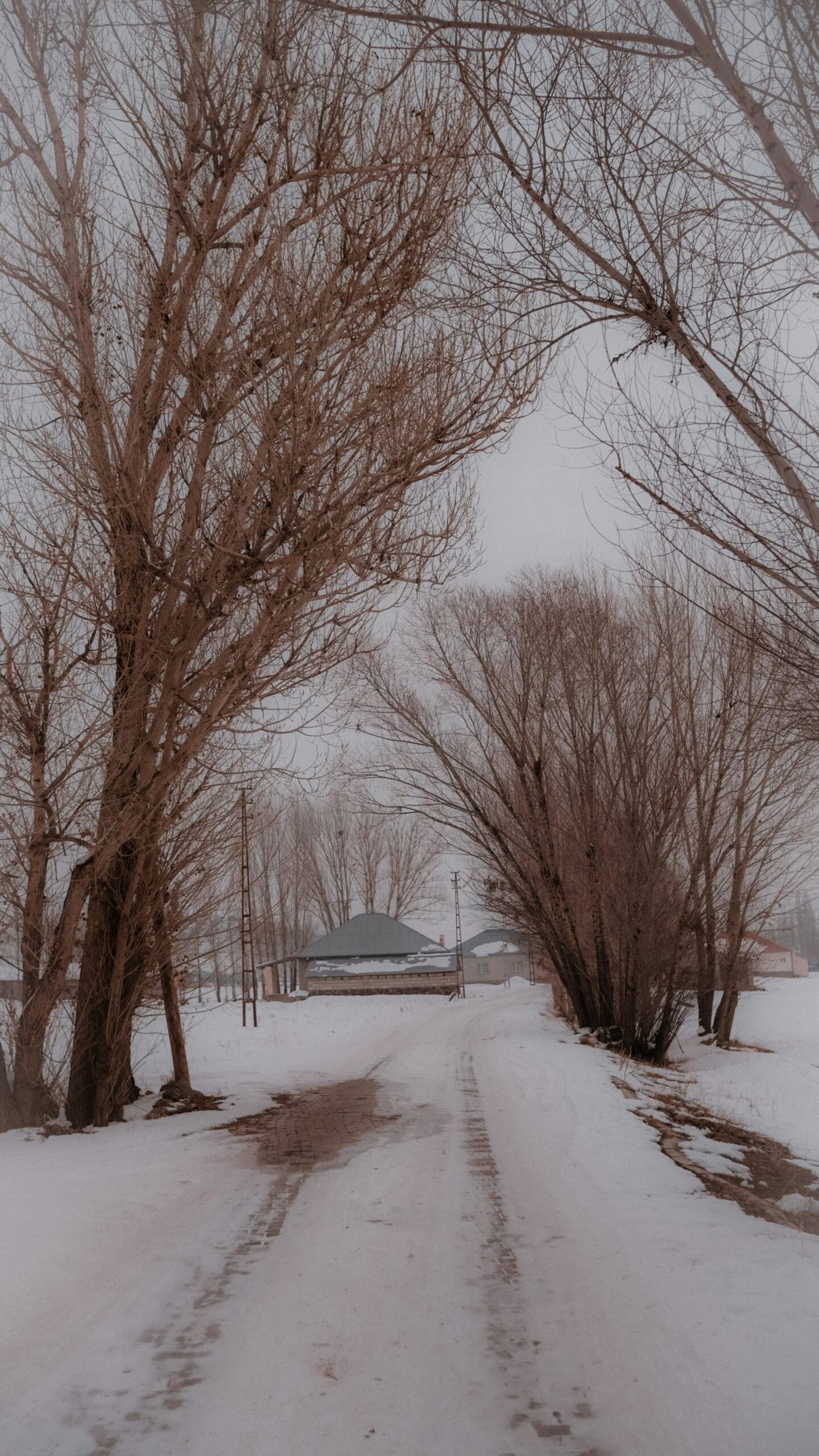 a snow covered road with trees and a house in the background