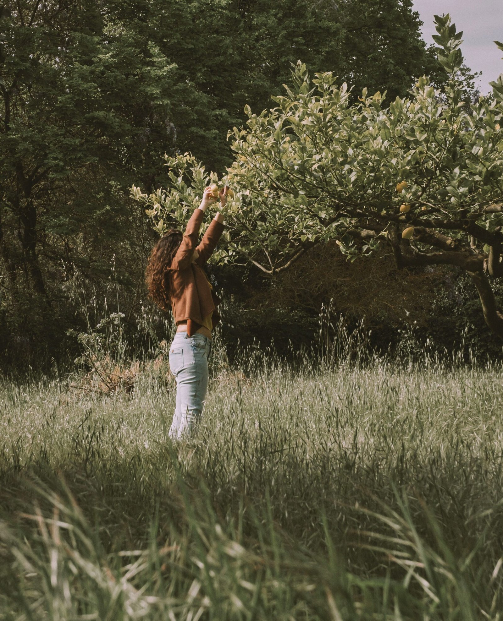 a woman standing in a field reaching up into a tree